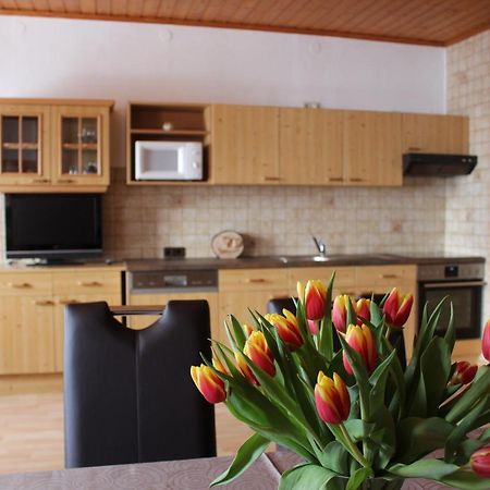 Ferienwohnungen Aigner Haus im Ennstal Dış mekan fotoğraf